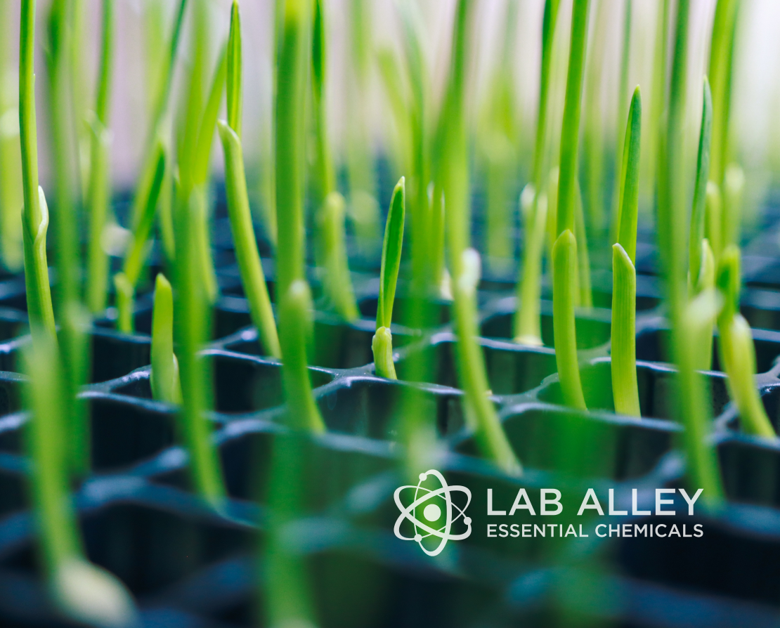 Eco-Friendly Solutions That Grow with You: Advancing Sustainability in the Life Sciences