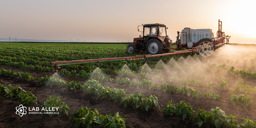 Safe Pest Control with Boric Acid