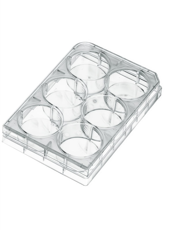 Multi Well Plates