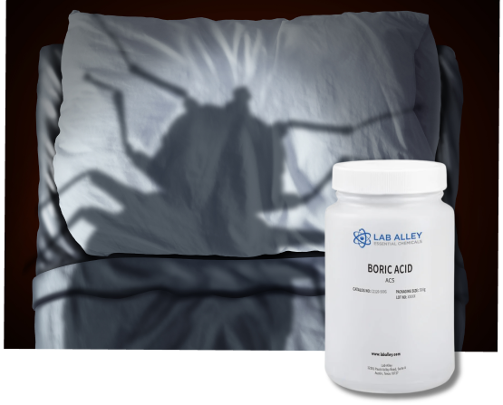 Hospitality Without Hitchhikers: Boric Acid’s Role in Bed Bug Prevention