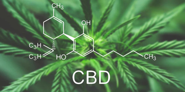 What happens when you take the cannabinoids out of cannabis?