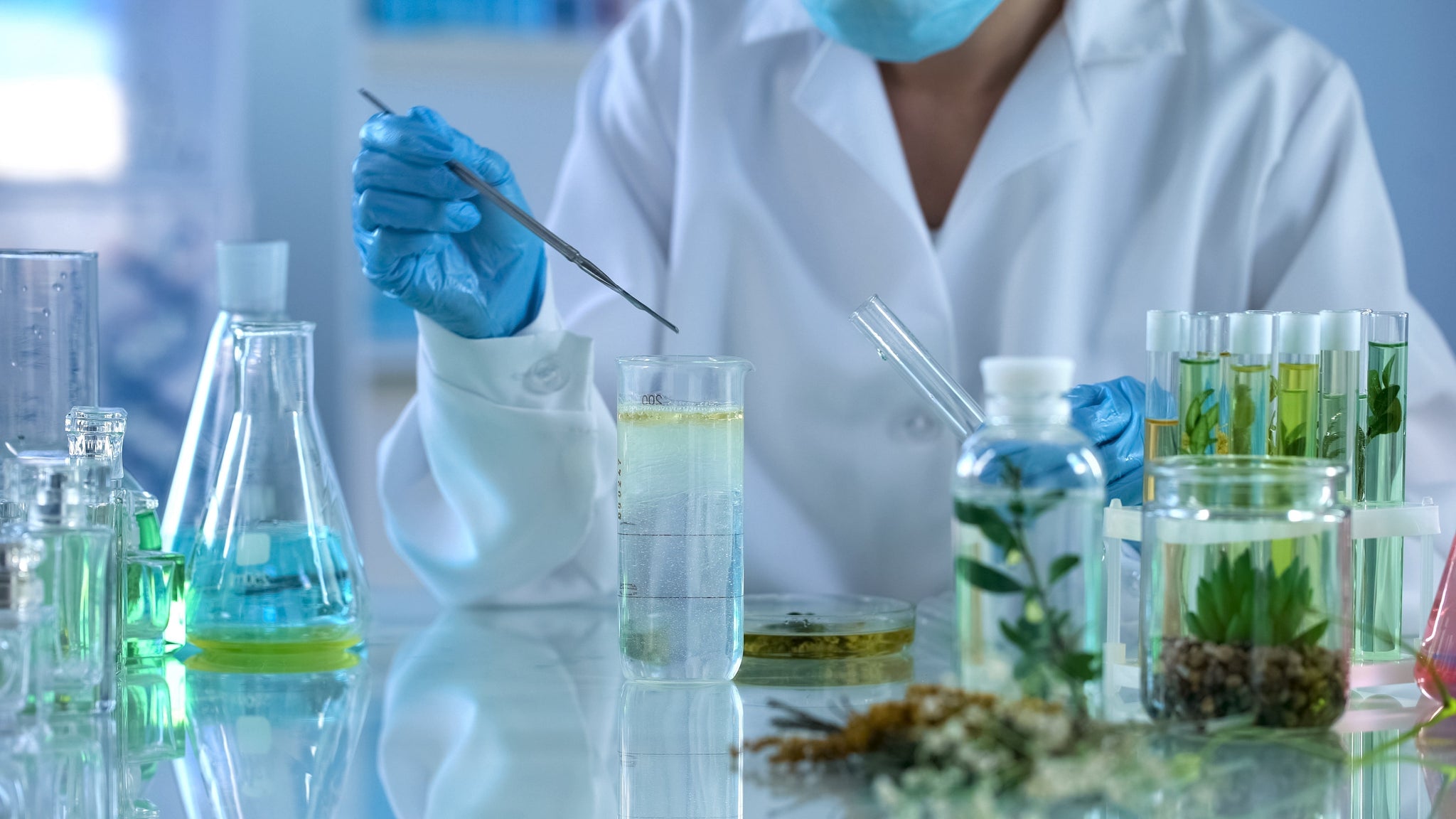 Castor Oil Uses and Applications