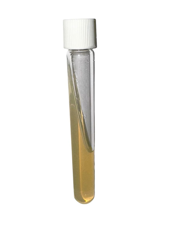 Nutrient Agar Slant, 9mL, 20-Pack, Case of 5