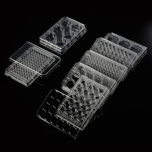 Flat Bottom Cell Culture Plates