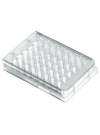 Multi Well Plates, 6 Wells