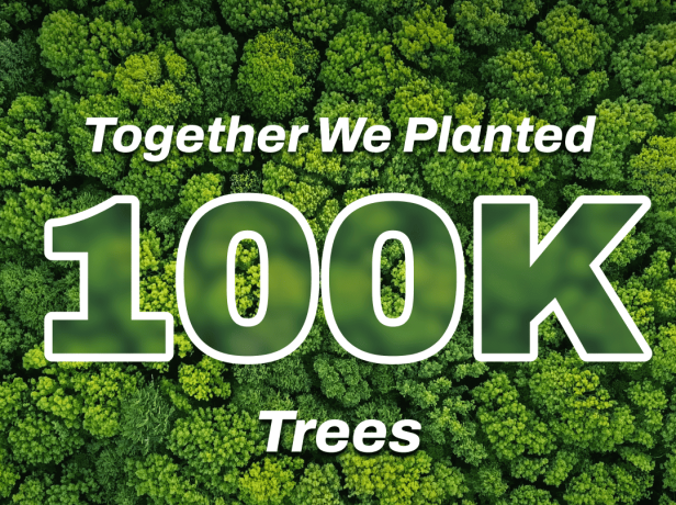 We Just Planted Our 100,000th Tree!