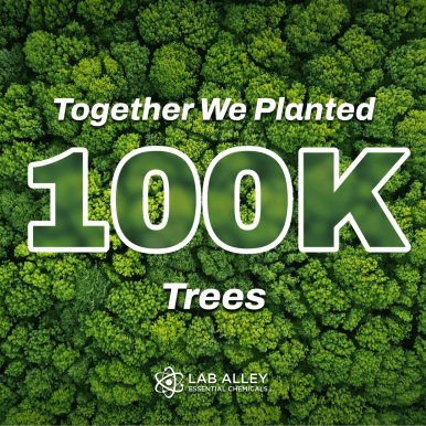 We Just Planted Our 100,000th Tree!