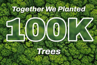 Lab Alley Plants 100,000 Mangrove Trees in Partnership with Ecodrive