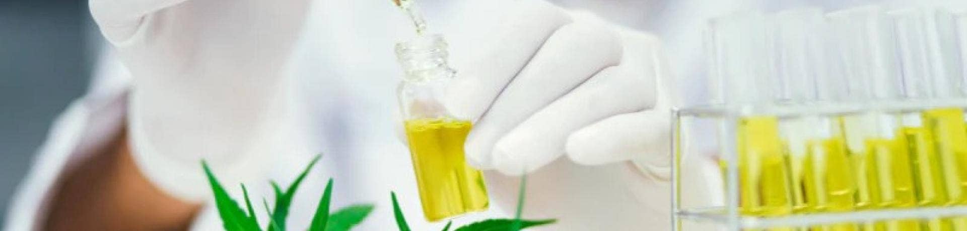 Using Food Grade Ethanol in Extractions, Tinctures and Cleaning