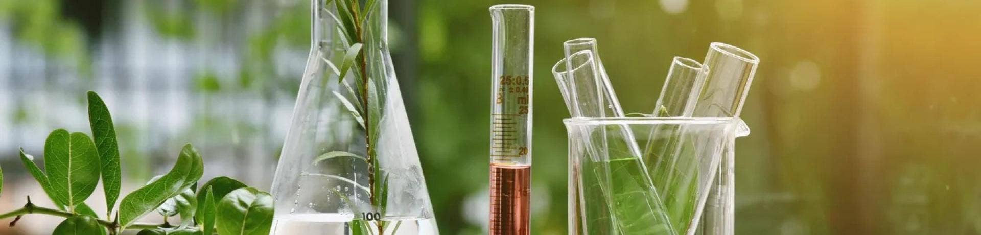 How To Choose Safe Chemicals For Daily Household Use