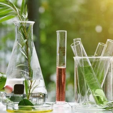 How To Choose Safe Chemicals For Daily Household Use