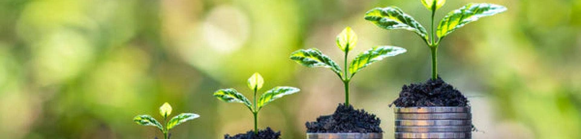 Lab Alley Sees 200% YOY (Year Over Year) Revenue Growth from Organic Ethanol Product Line