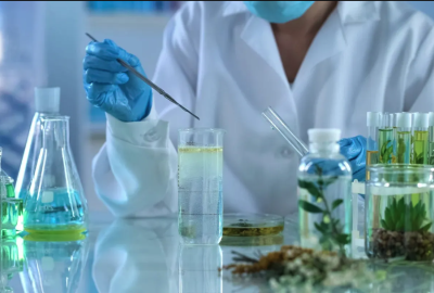 Castor Oil Uses & Applications