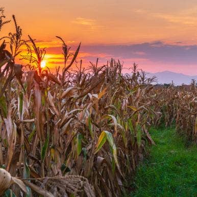 Ethanol in the Future of Middle-America