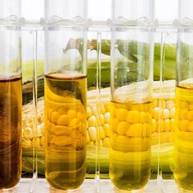 The Types of Ethanol