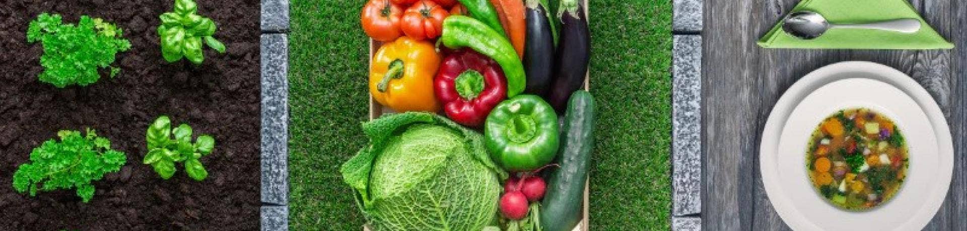 Farm to Table: Chemical Edition