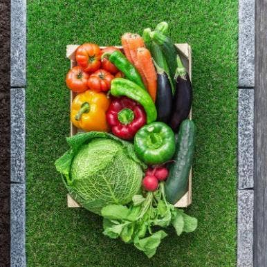 Farm to Table: Chemical Edition