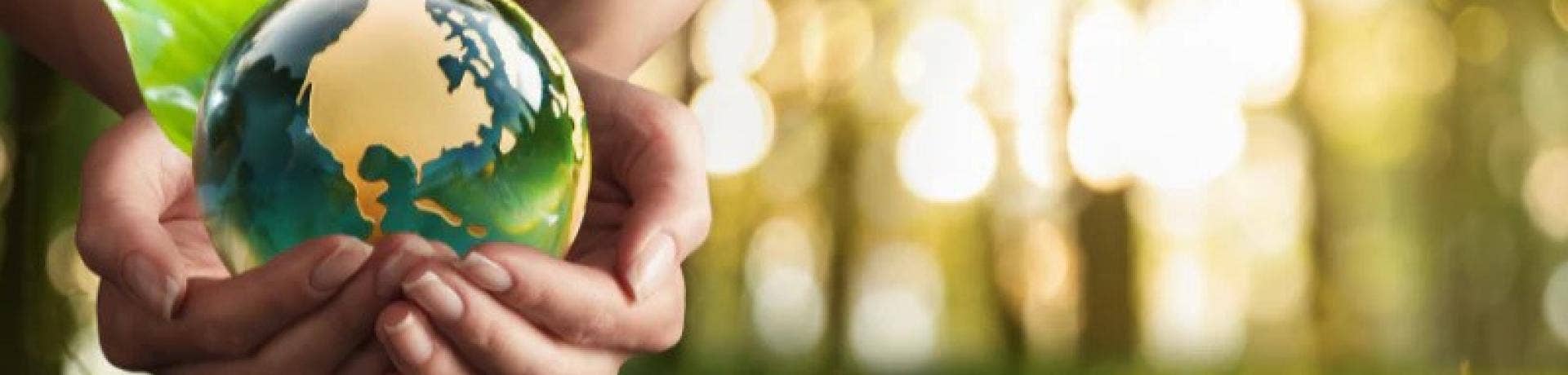 Reducing Emissions by Converting Ethanol to Ethylene