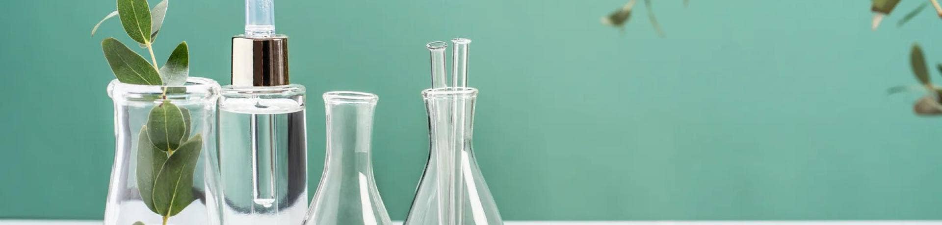 Witch Hazel Overview: Properties, Uses, Safety & Buying Guide