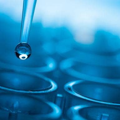 Sodium Bicarbonate Overview