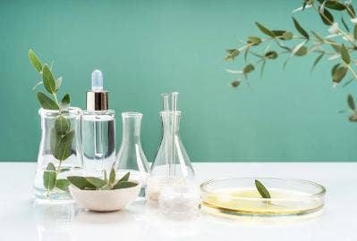 Witch Hazel Overview: Properties, Uses, Safety & Buying Guide