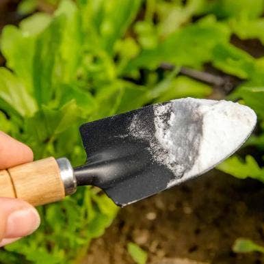 How To Use And Buy Food Grade Calcium Carbonate Powder