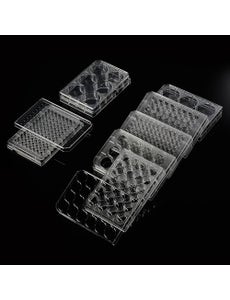 Flat Bottom Cell Culture Plates