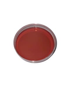 MacConkey Agar Plates, 10-Pack