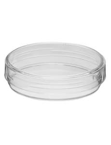 Petri Dishes