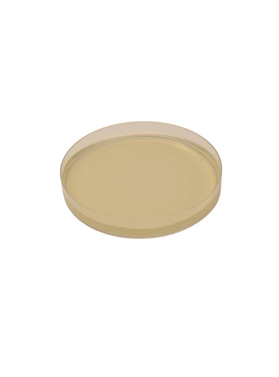 Nutrient Agar Plates, 10-Pack, Case of 10