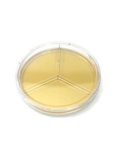 Nutrient Agar Tri-Plates, 10-Pack
