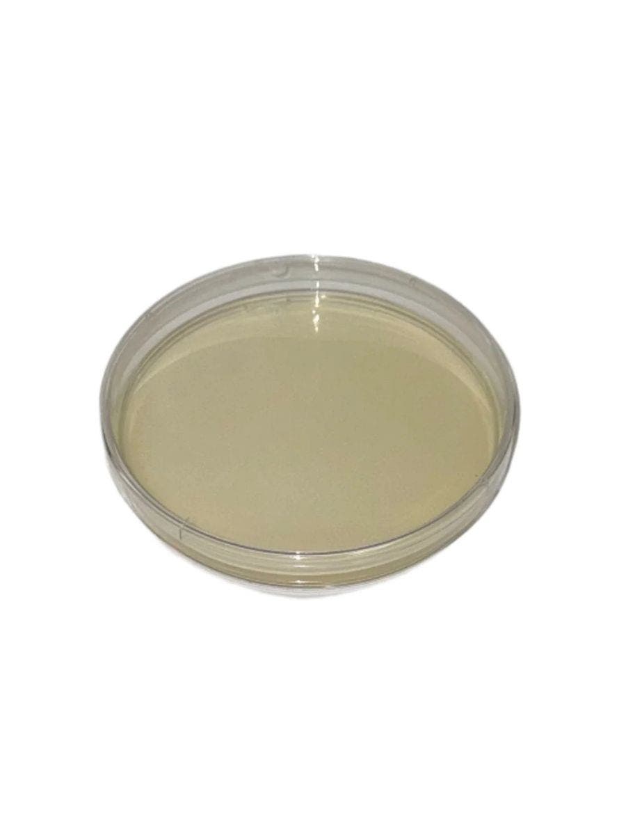 Standard Methods Agar Plates, 10-Pack, Case of 5