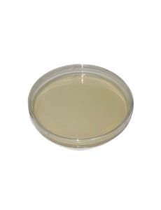 Standard Methods Agar Plates, 10-Pack