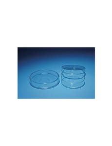 Glass Petri Dishes (Pack of 10)