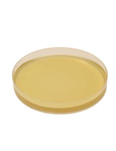 Sabouraud Dex Agar Plates, 10-Pack